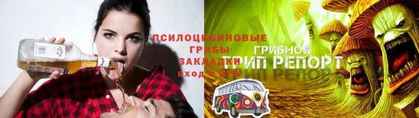 эйфоретик Алзамай