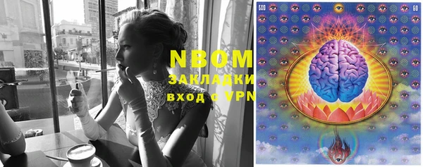эйфоретик Алзамай