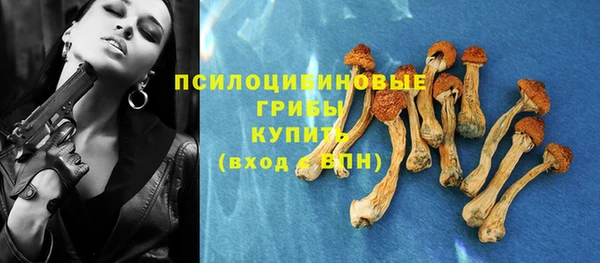 эйфоретик Алзамай