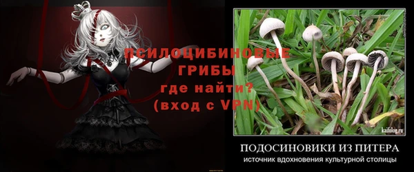 дживик Алексеевка