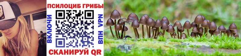 Галлюциногенные грибы Magic Shrooms  Купить где  Североморск 